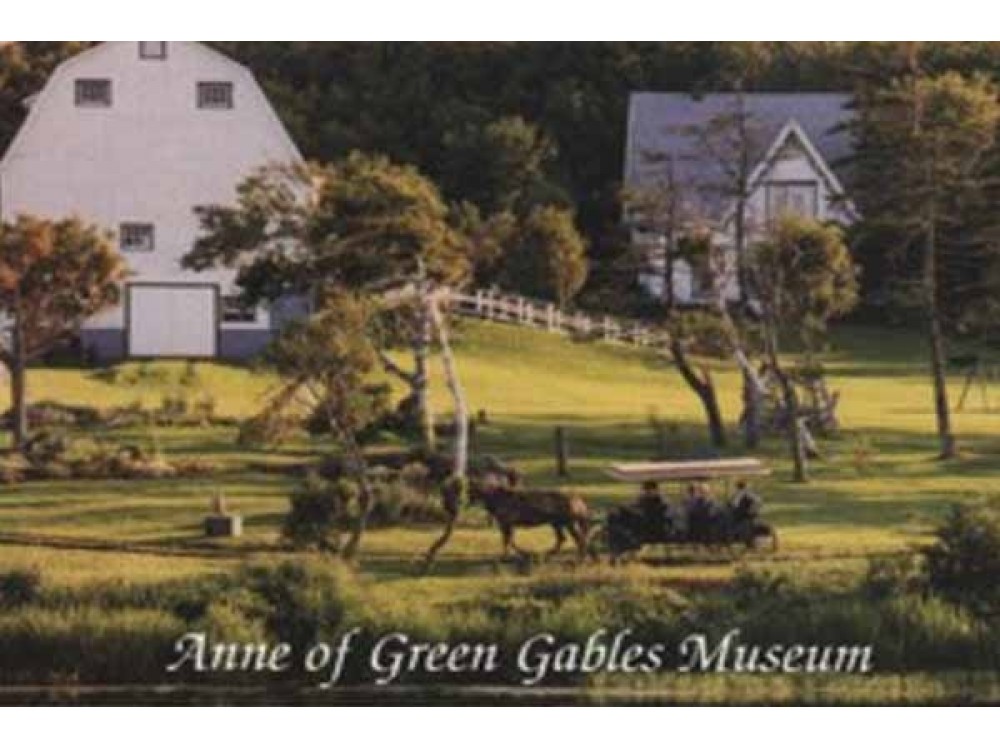 AGG Museum - Matthew's Carriage Ride