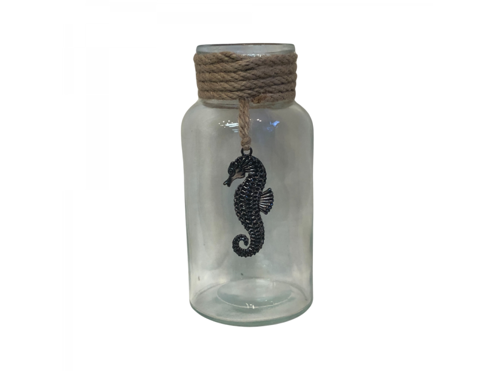 Glass Jars with Rope