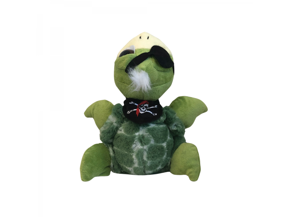 Green Pirate Sea Turtle