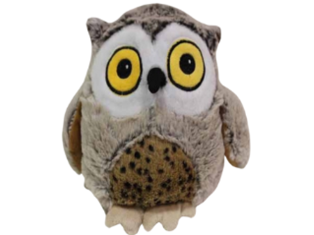 Fat Owl