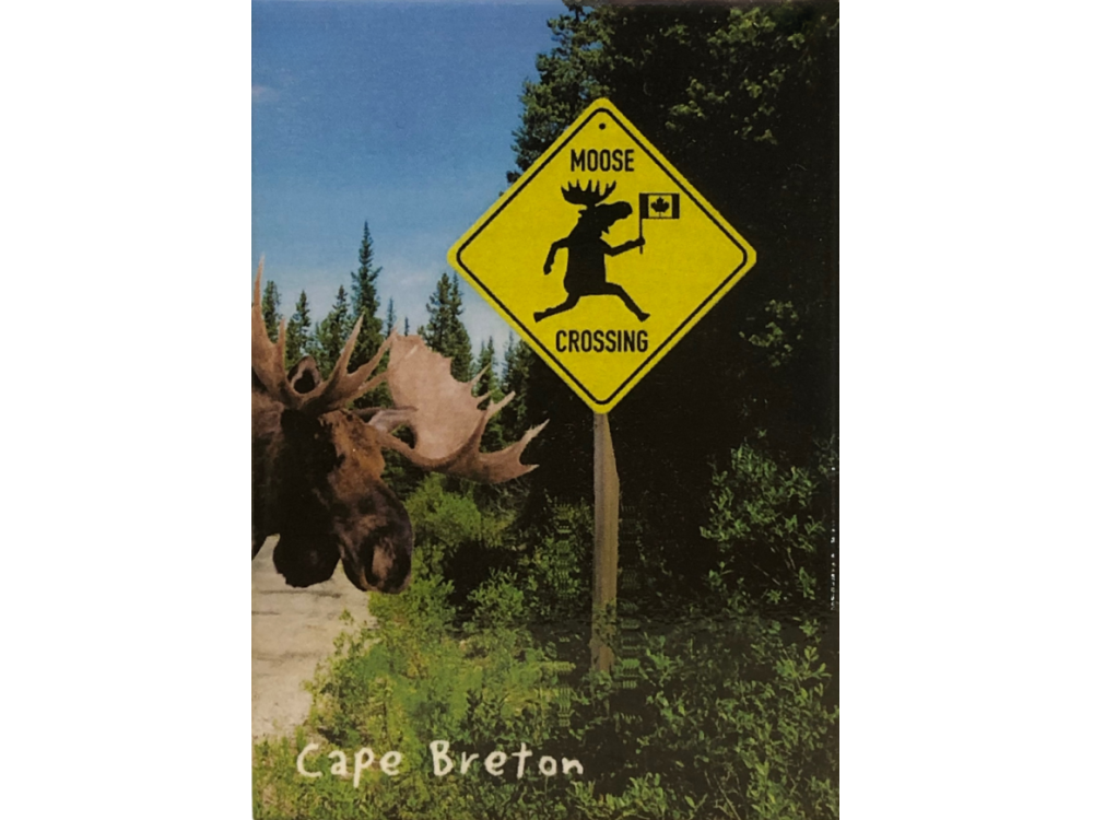 Magnet Moose Crossing CB