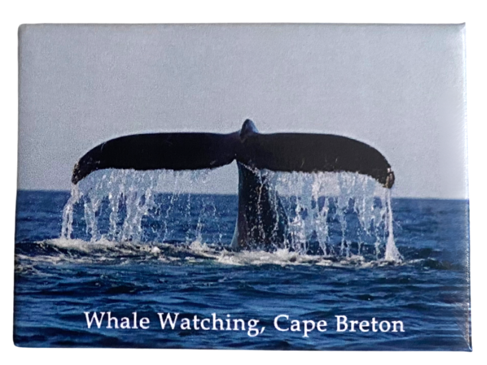 Whale Watching CB