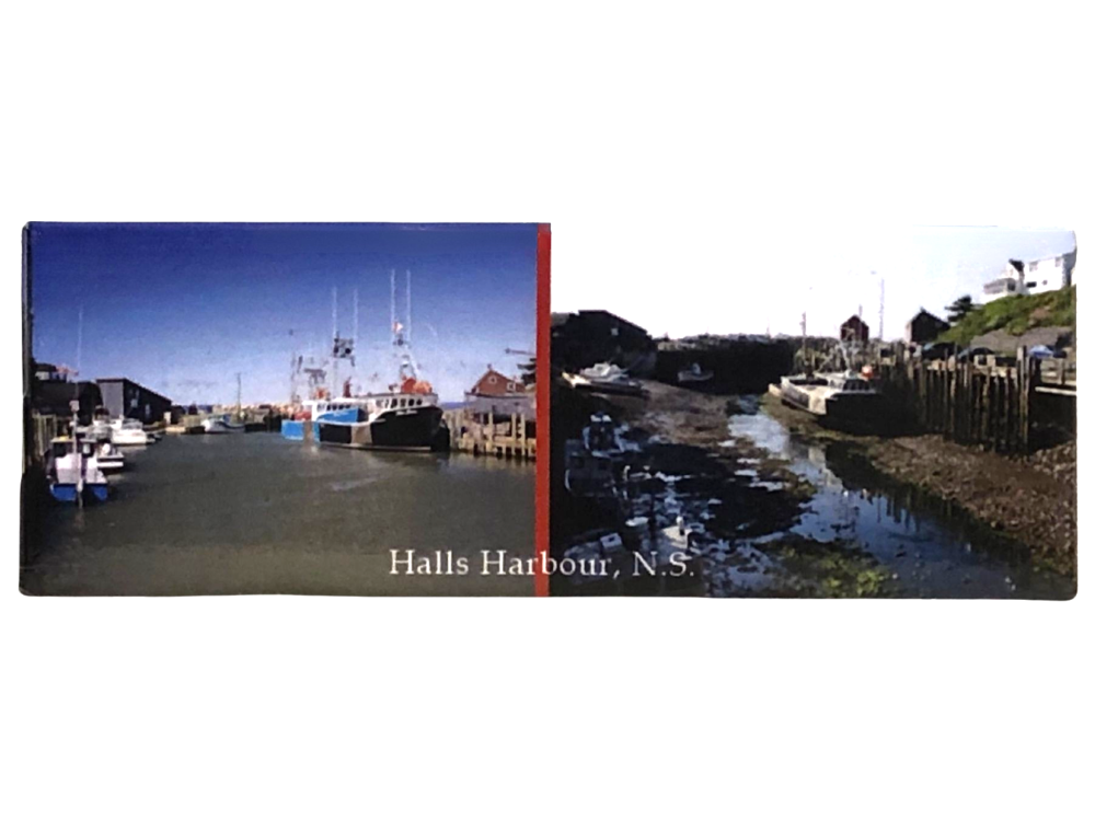 Magnet Halls Harbour high/low tides