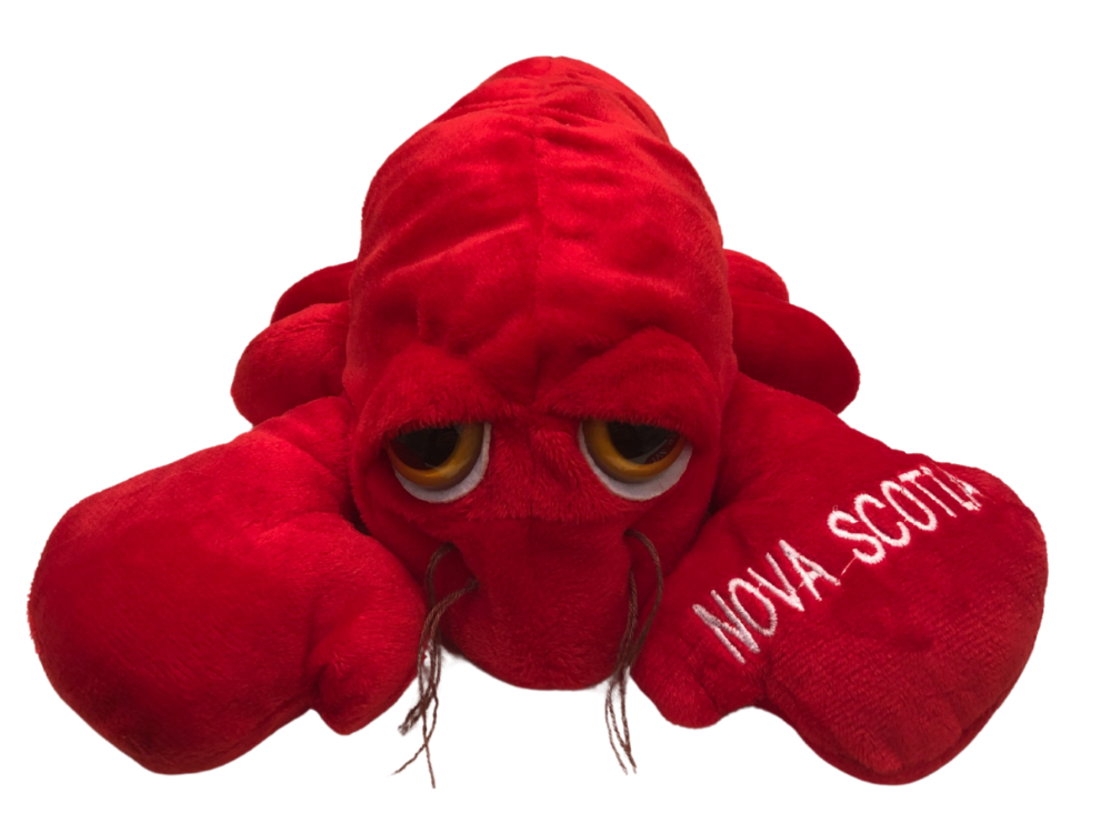 NS Lobster 9