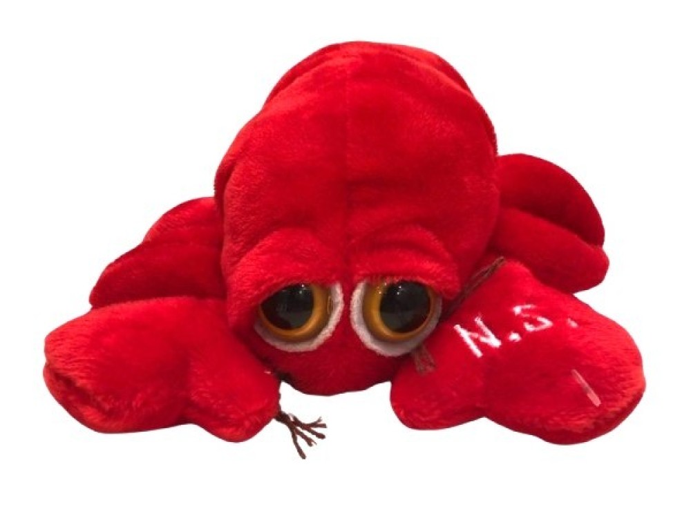 Plush Lobster 6