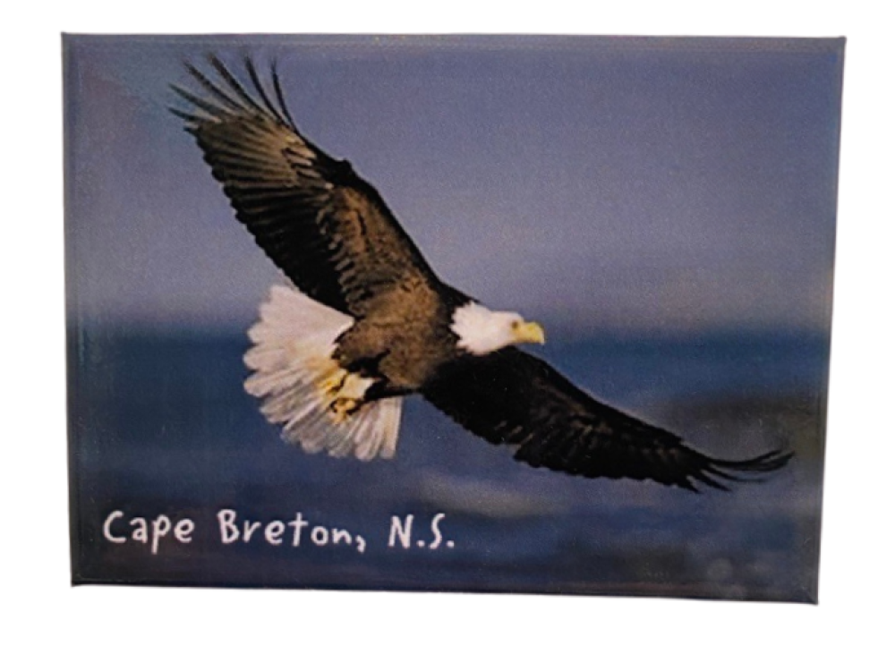 CB Eagle Flying Magnet