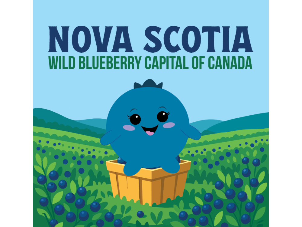 NS Blueberry Sticker