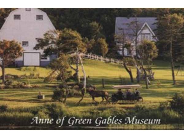 AGG Museum - Matthew's Carriage Ride