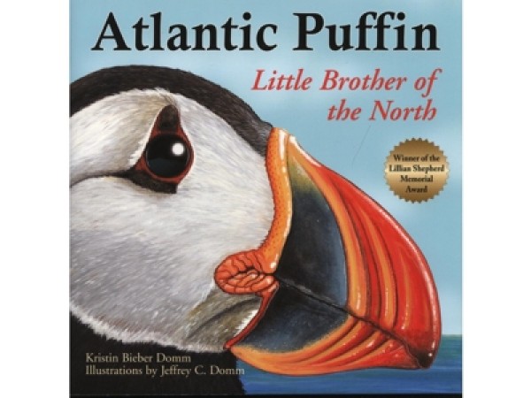 Atlantic Puffin - SC