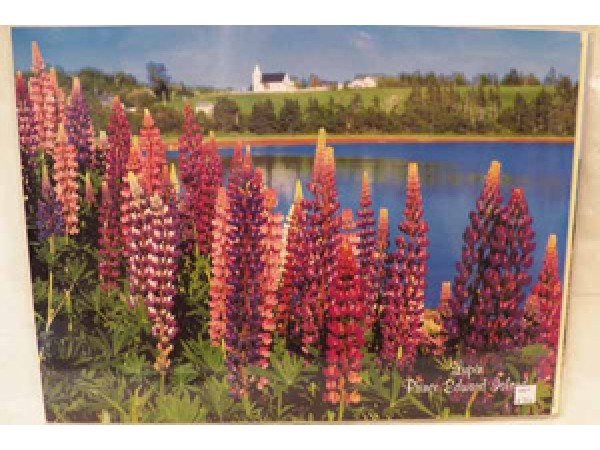 Lupins Placemat