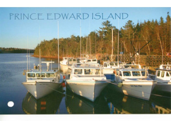 Boats in Harbour