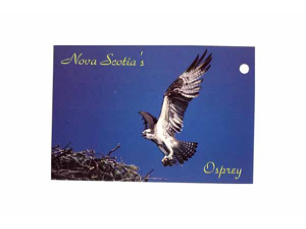Postcard  NS Osprey
