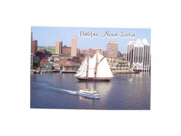 Postcard Bluenose in Hfx Harbour