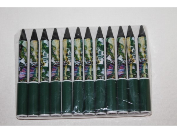 Anne on the Quilt Pens