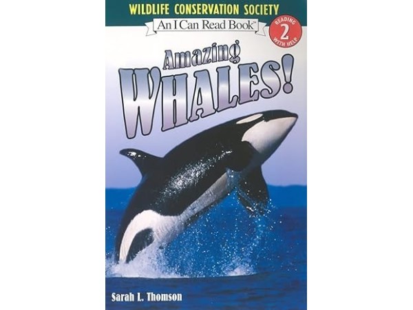 Amazing Whales