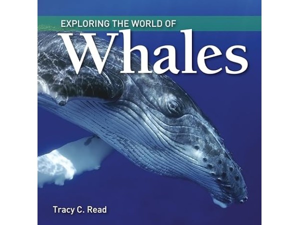 Exploring World of Whales