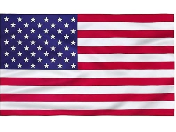 Stick Flag 6x9 USA