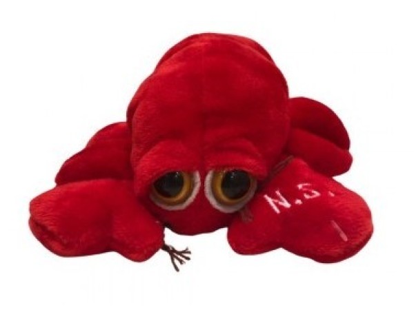 Plush Lobster 6