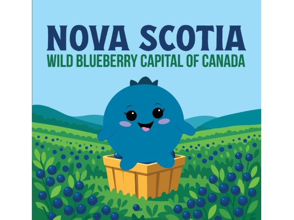 NS Blueberry Sticker